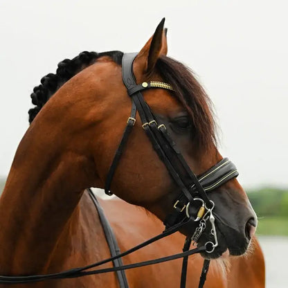 Delta Double Bridle
