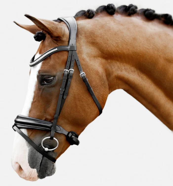 Melodie Classic Bridle