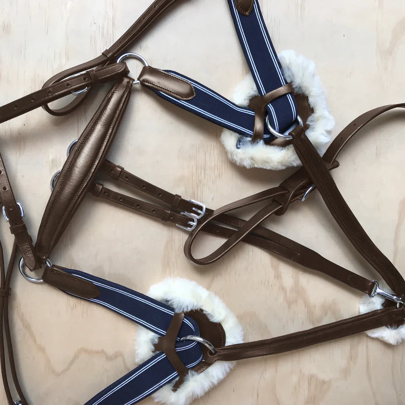 Antiqua 5 Point Breastplate