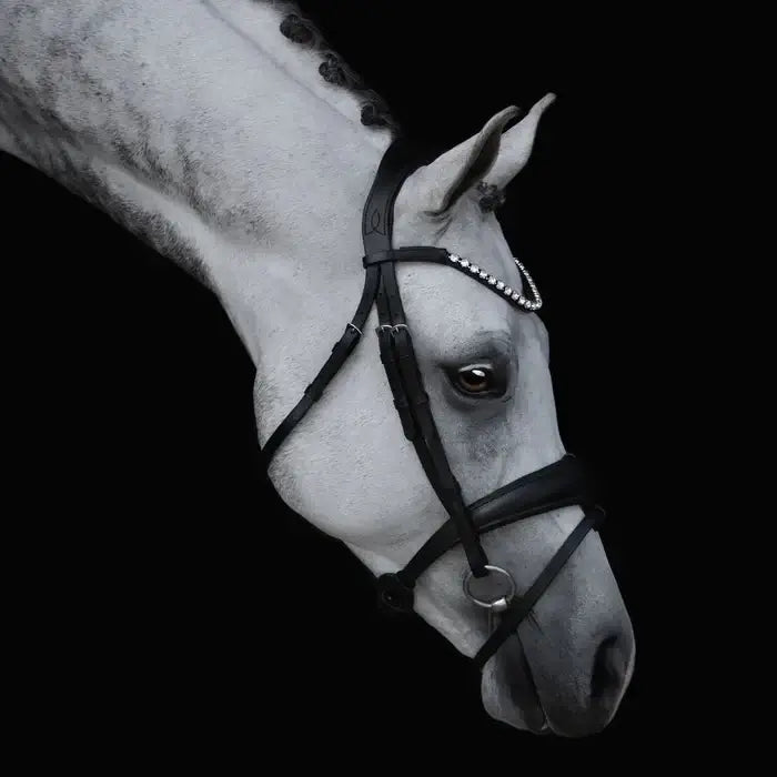 Abigail Convertible Bridle