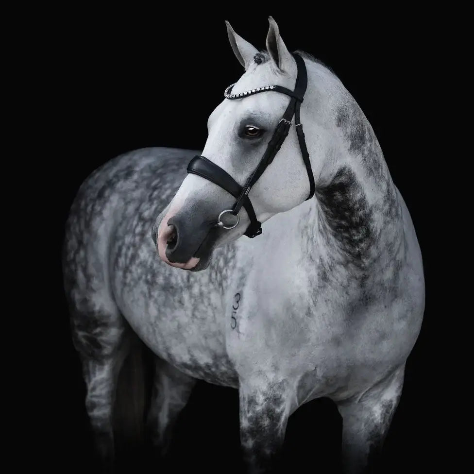Abigail Convertible Bridle