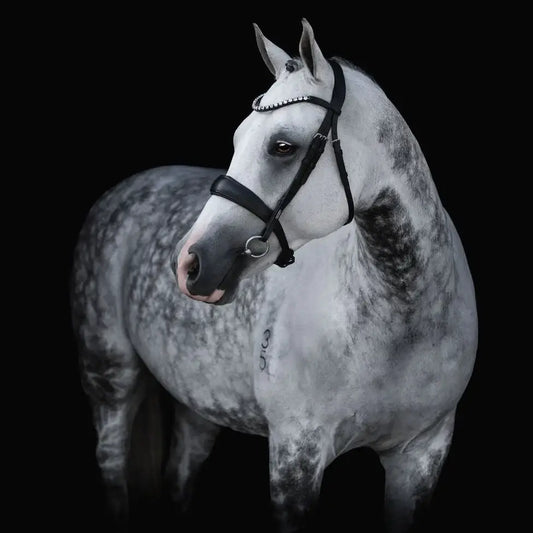 Abigail Convertible Bridle