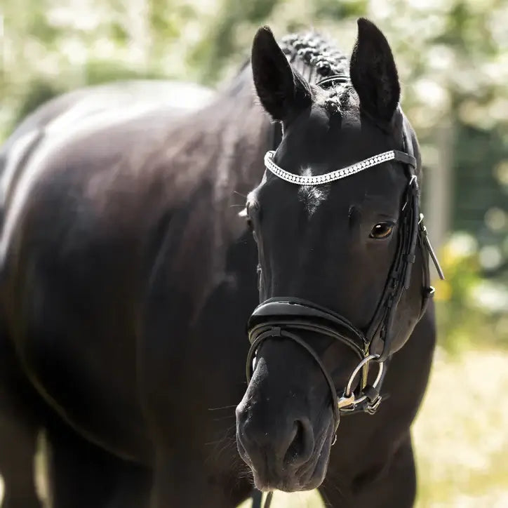 Amie Rolled Leather Hanoverian Bridle