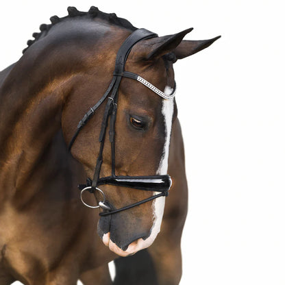 Amie Rolled Leather Hanoverian Bridle