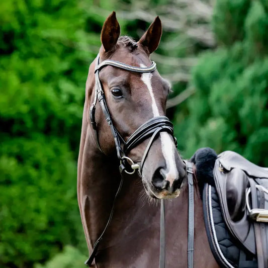 Melodie Patent Bridle