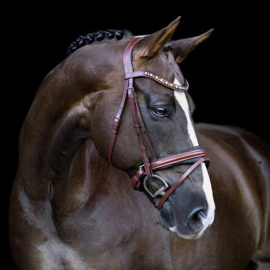 Arabella Hanoverian Bridle