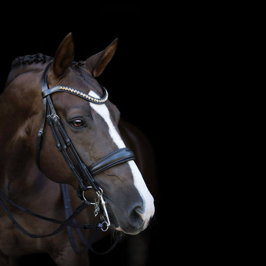 Athens Double Bridle