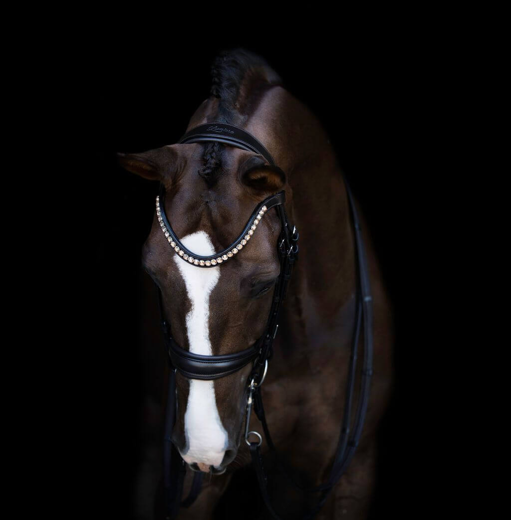 Athens Double Bridle