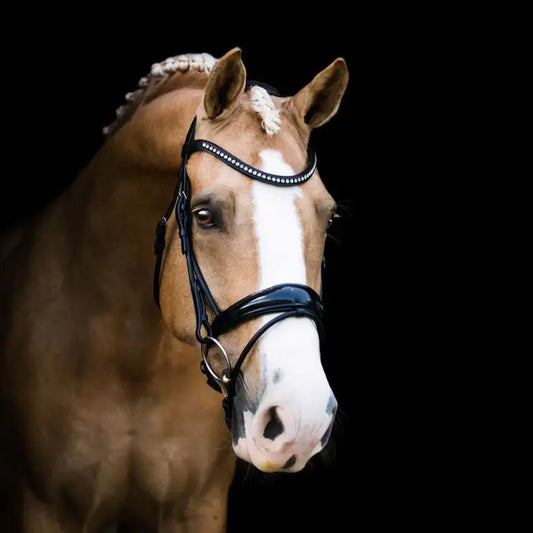 Aurelie Hanoverian Rolled Leather Bridle