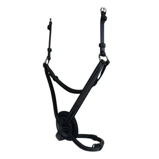 Lumiere Grackle Noseband