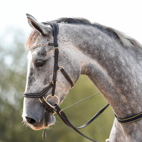 Amber Micklem Style Bridle